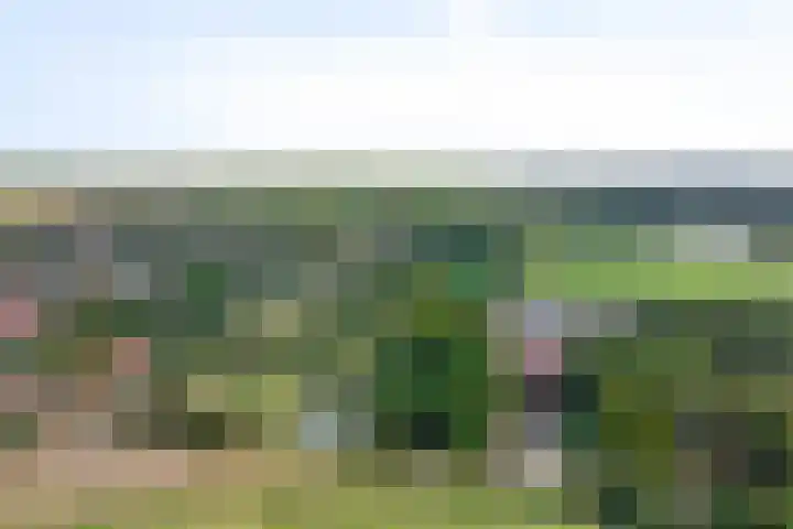 Ds Keppellaan 35 Amerongen thumbnail 43