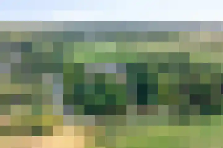 Ds Keppellaan 35 Amerongen thumbnail 44