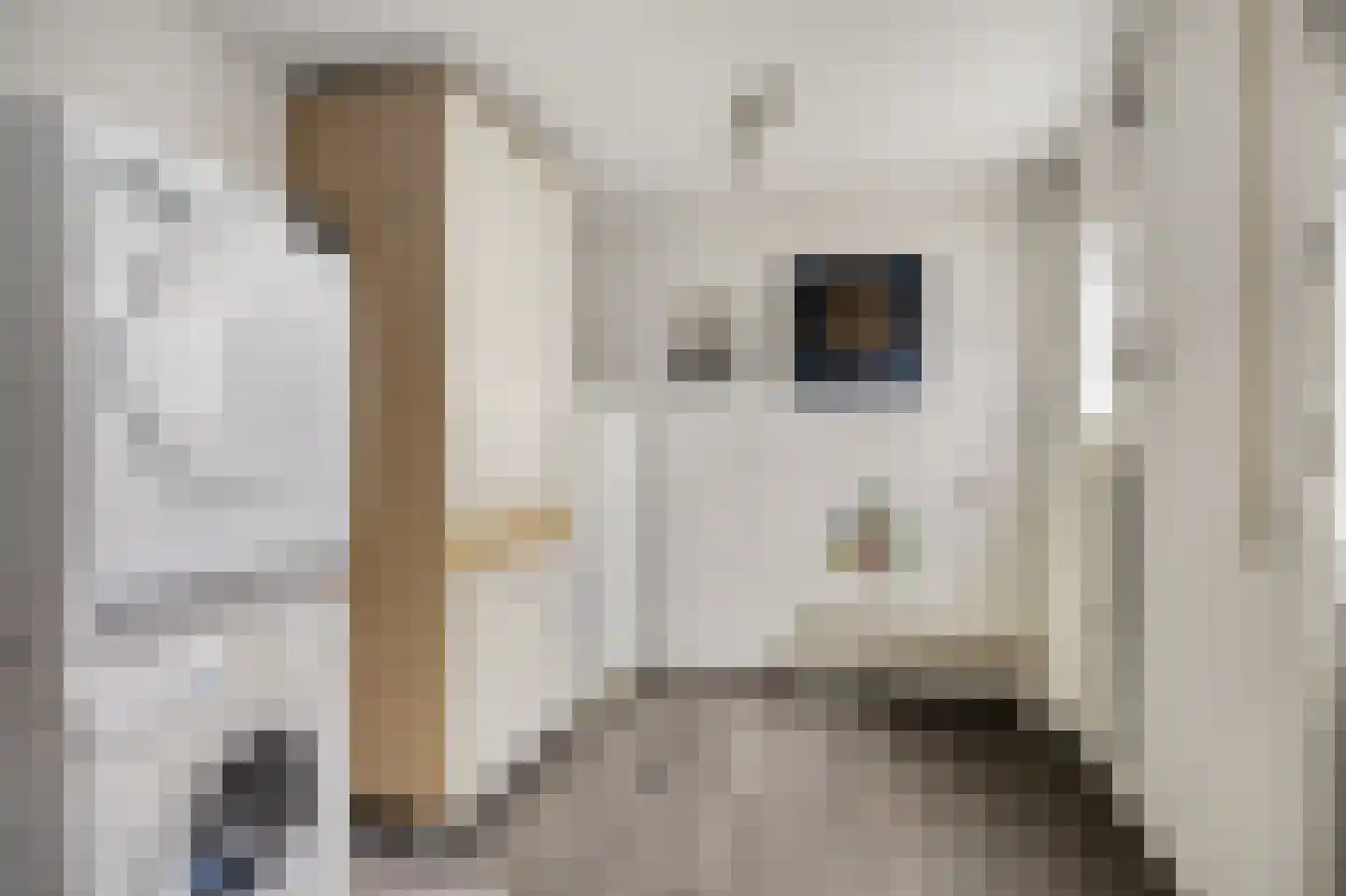 Ds Kooimanstraat 4 Hollandscheveld thumbnail 11