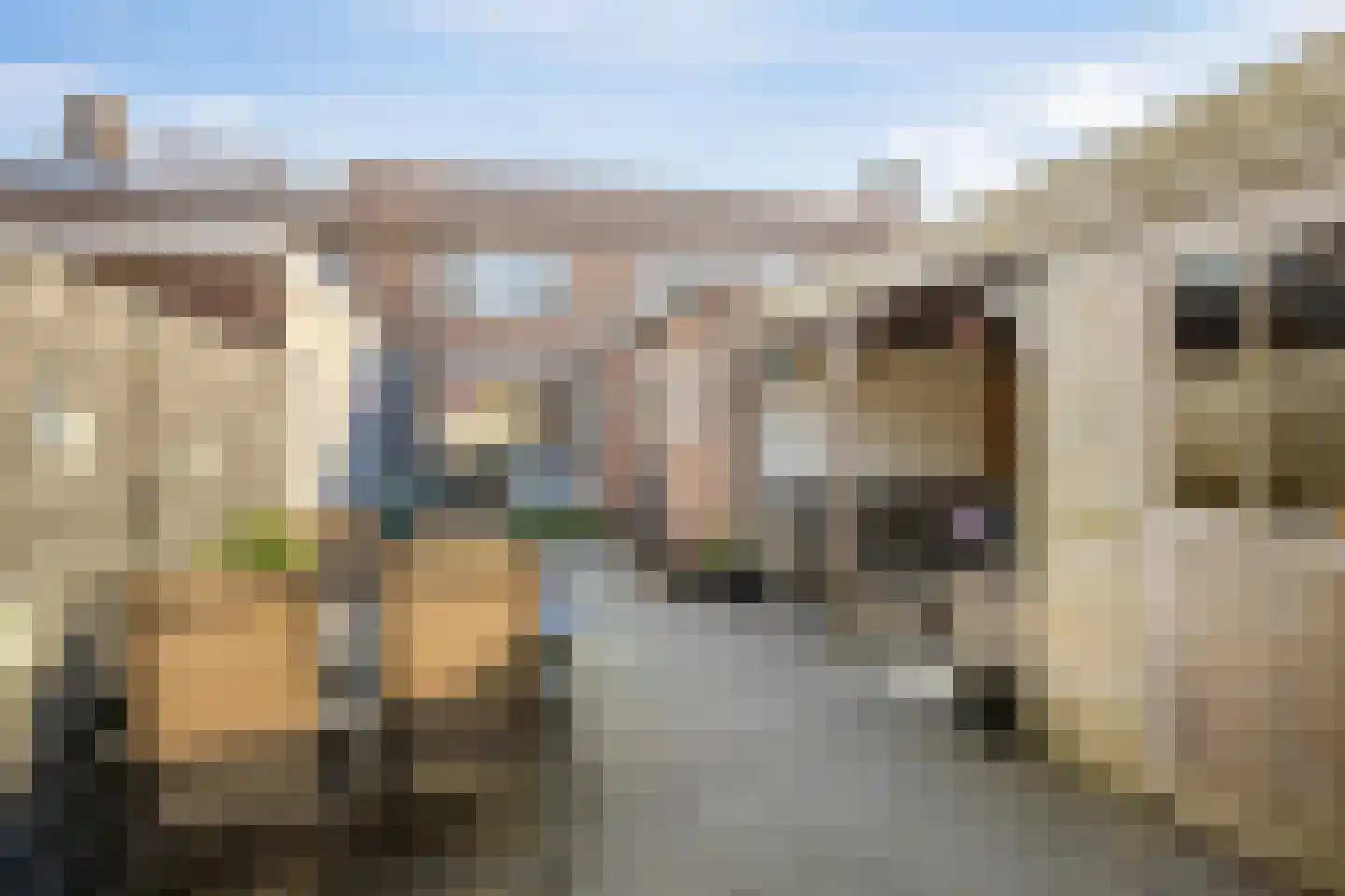 Ds Kooimanstraat 4 Hollandscheveld thumbnail 22
