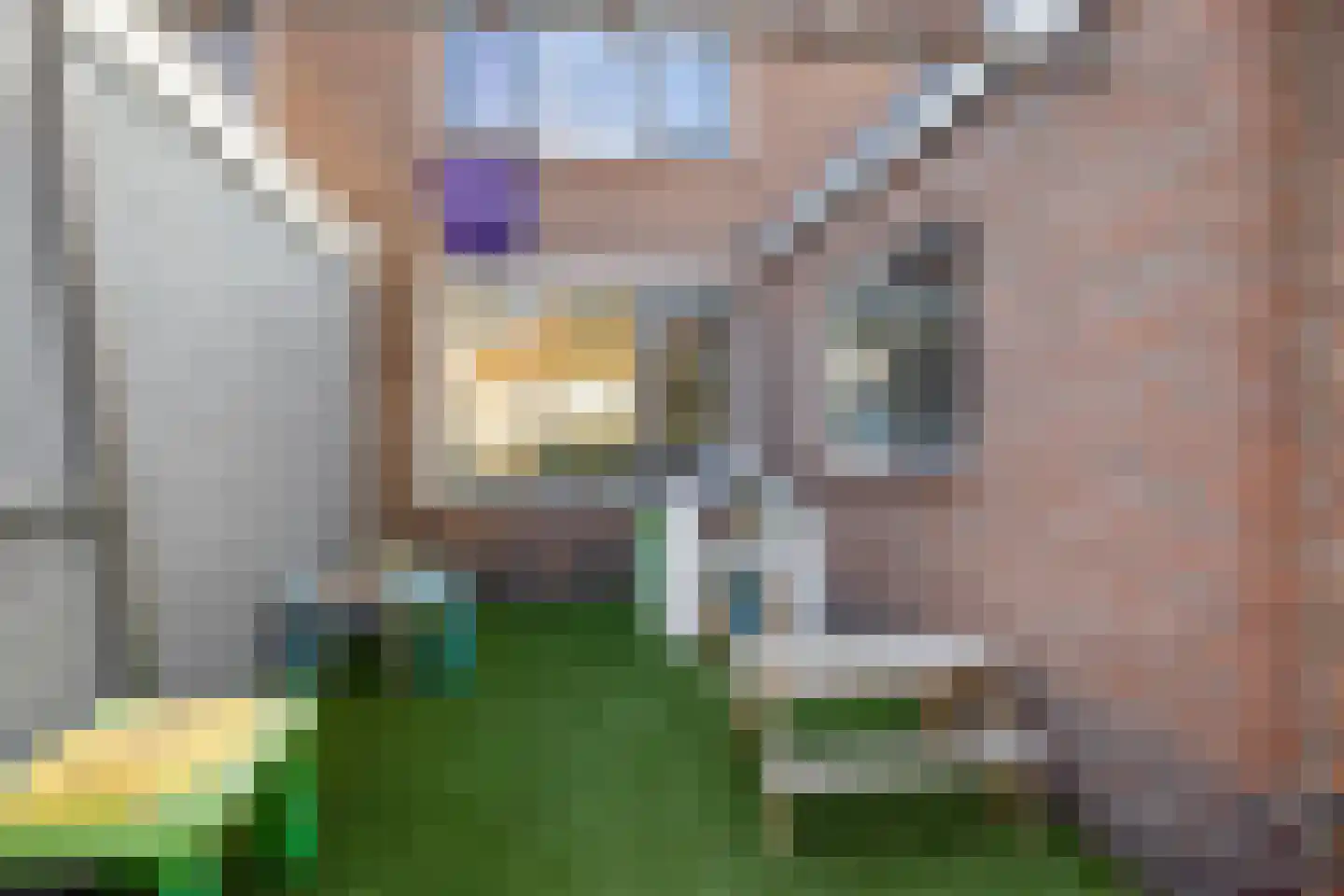 Ds Kooimanstraat 4 Hollandscheveld thumbnail 24