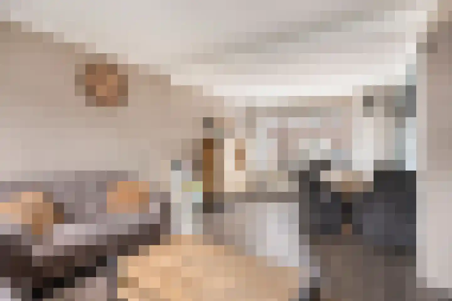 Ds Kooimanstraat 4 Hollandscheveld thumbnail 4