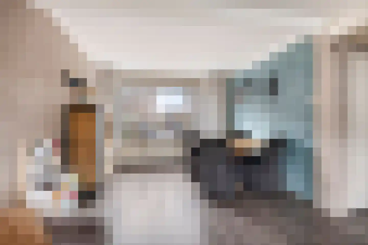 Ds Kooimanstraat 4 Hollandscheveld thumbnail 5