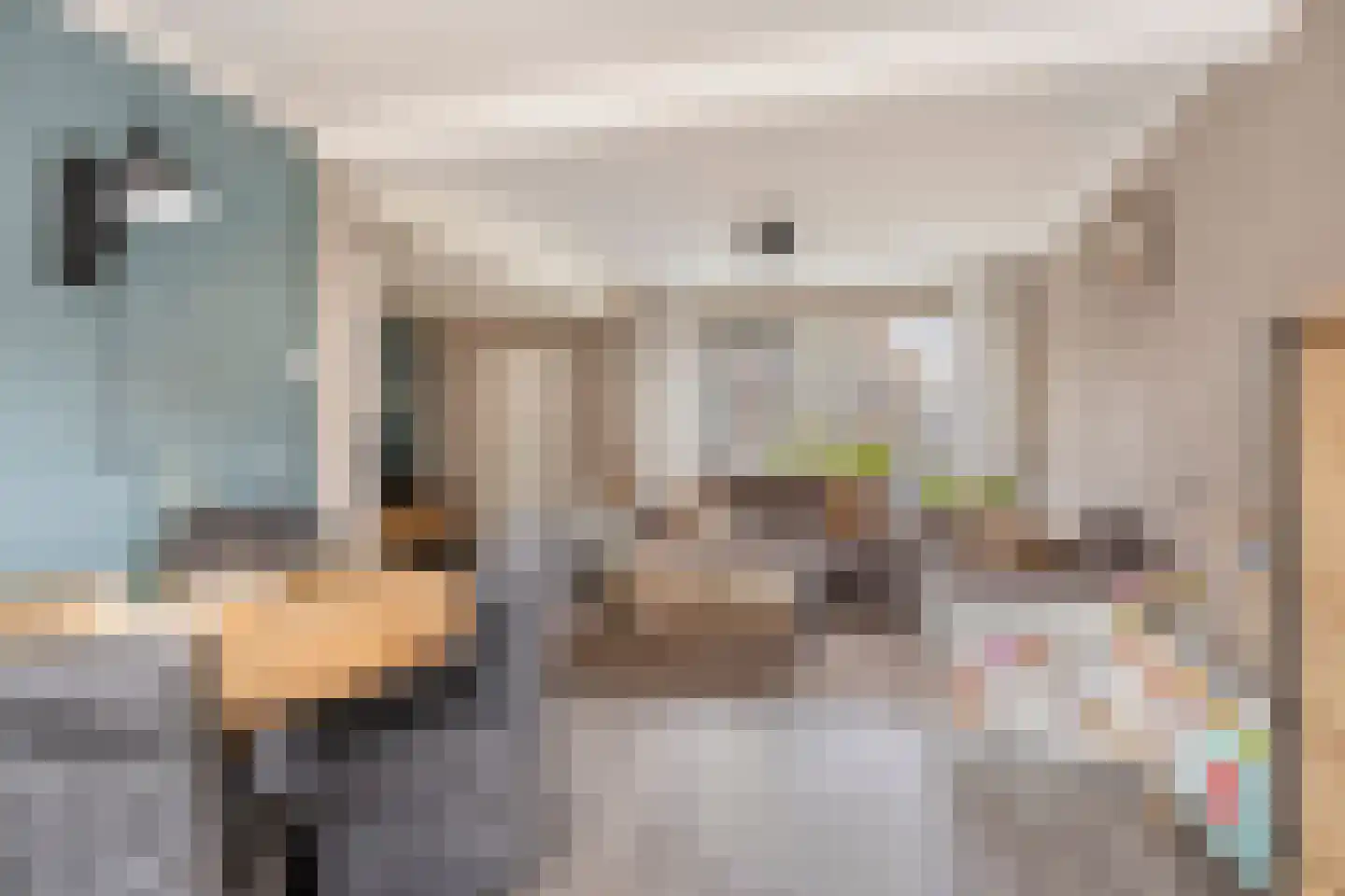 Ds Kooimanstraat 4 Hollandscheveld thumbnail 6