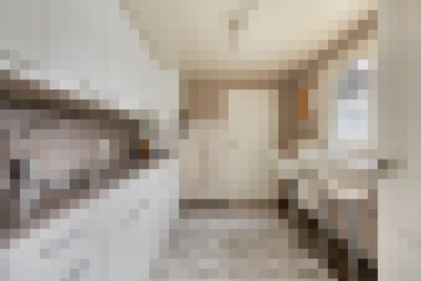 Ds Kooimanstraat 4 Hollandscheveld thumbnail 8