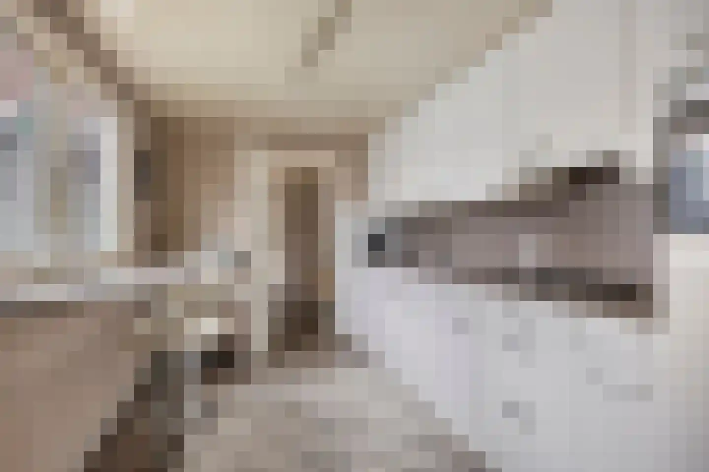 Ds Kooimanstraat 4 Hollandscheveld thumbnail 9