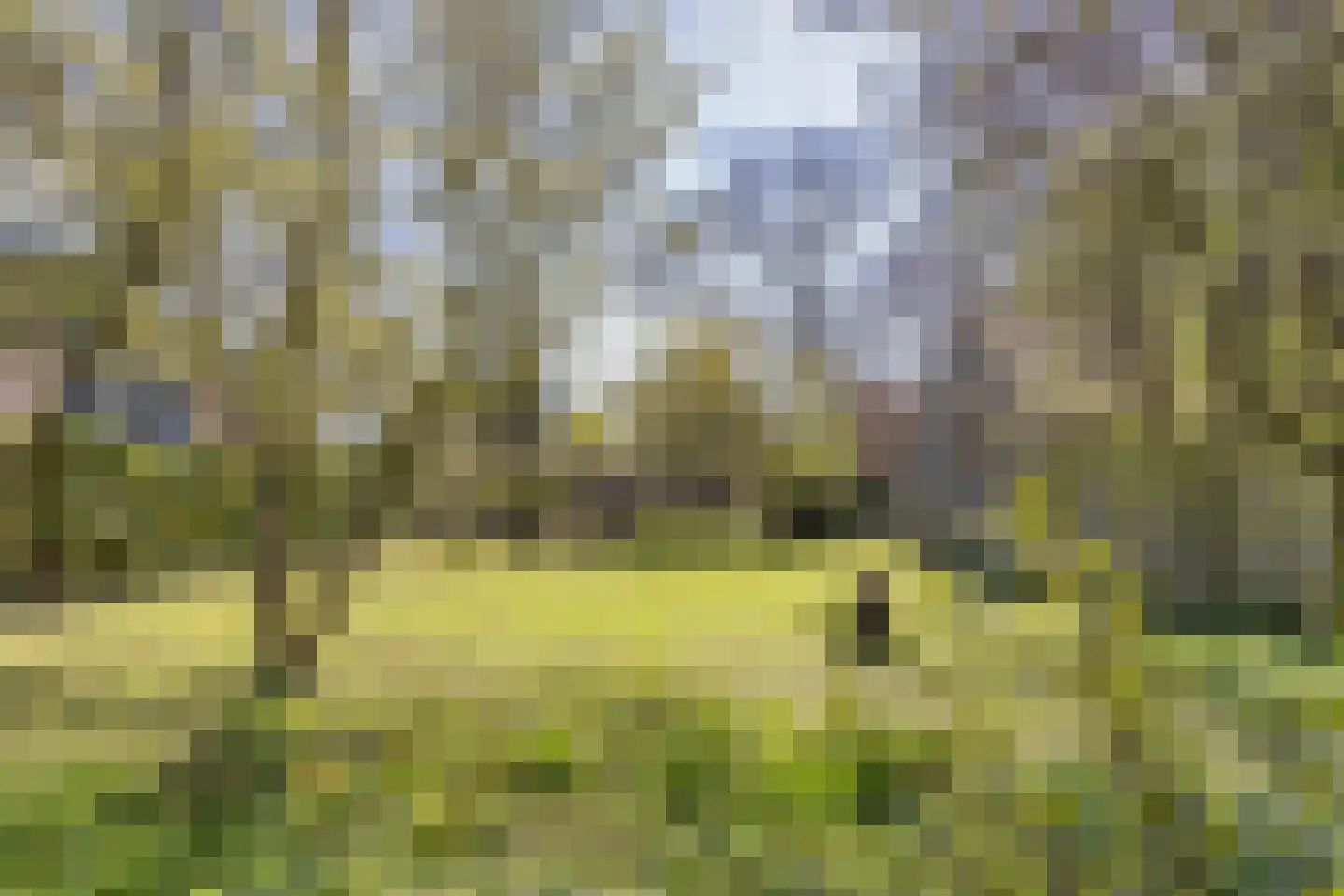 Ds L Touwenlaan 13 Makkum thumbnail 5