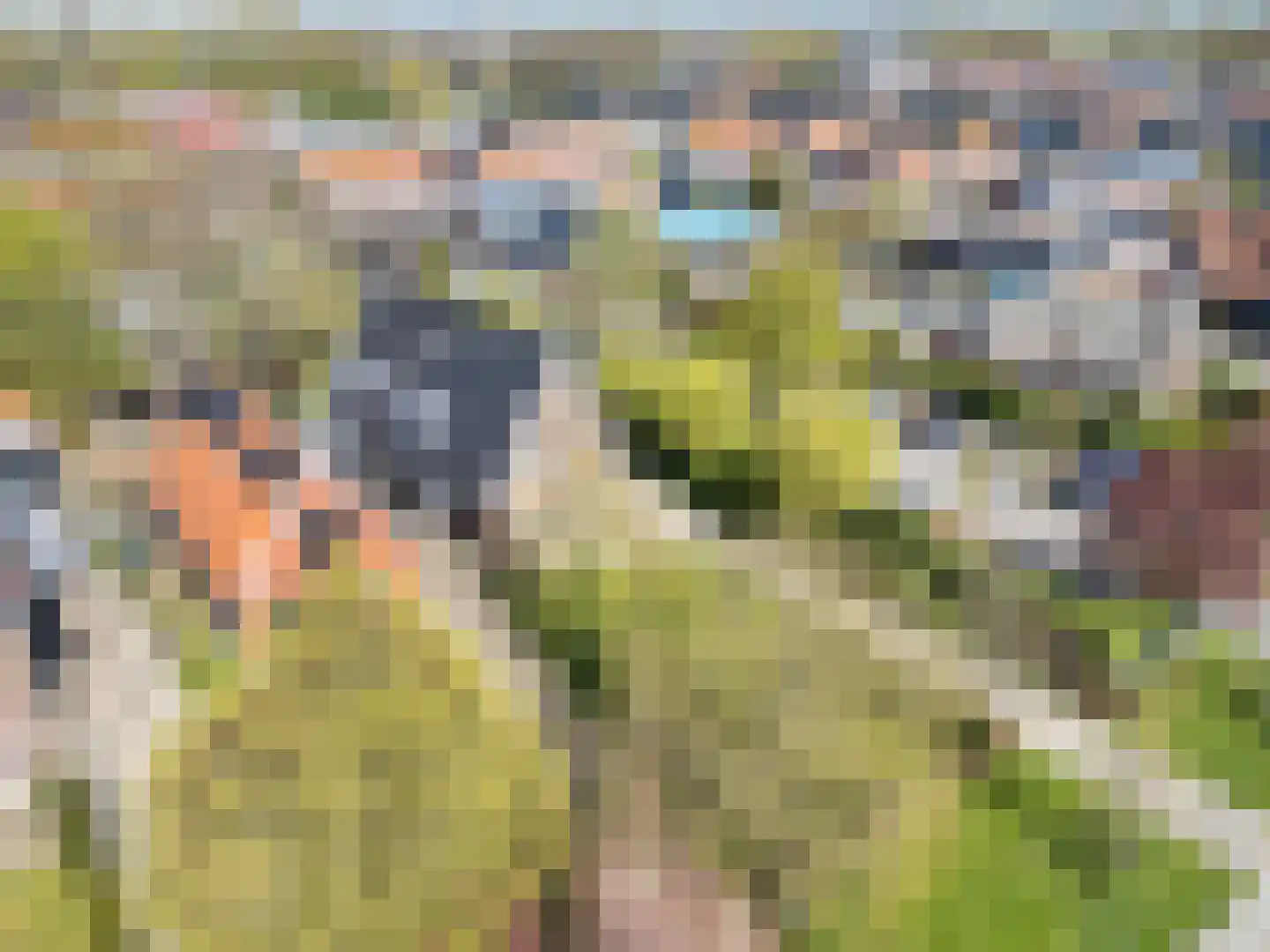 Ds L Touwenlaan 13 Makkum thumbnail 61
