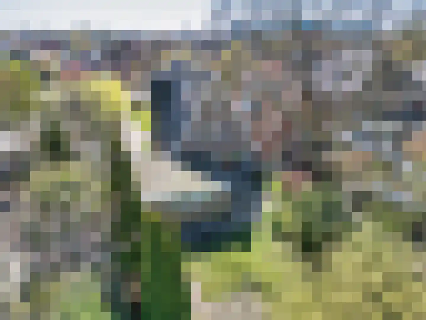 Ds L Touwenlaan 13 Makkum thumbnail 63