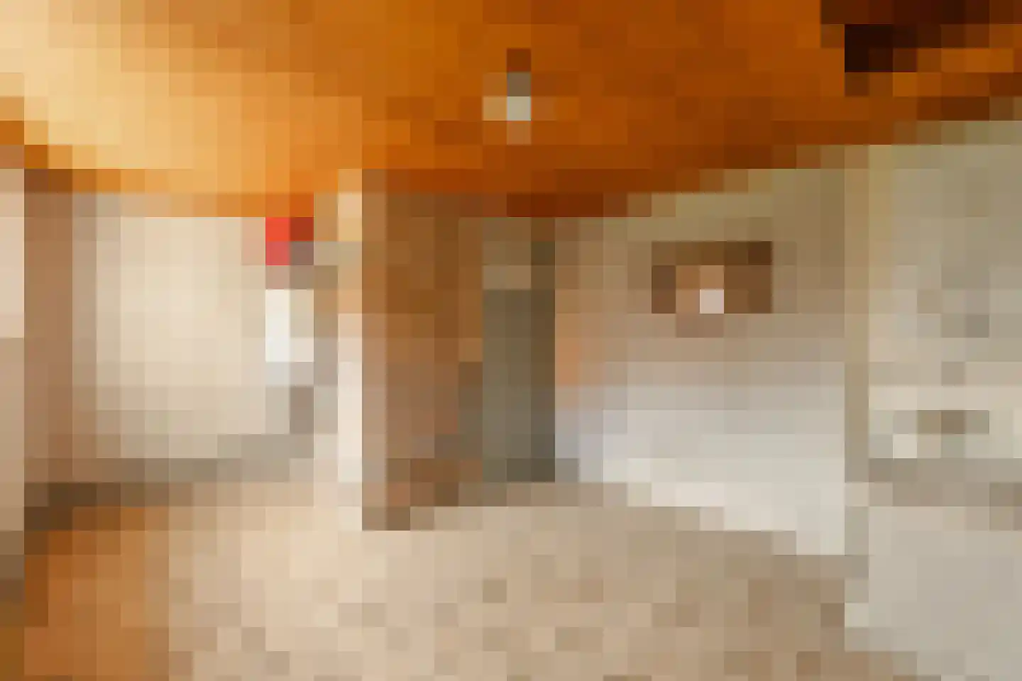 Ds L Touwenlaan 32 Makkum thumbnail 19
