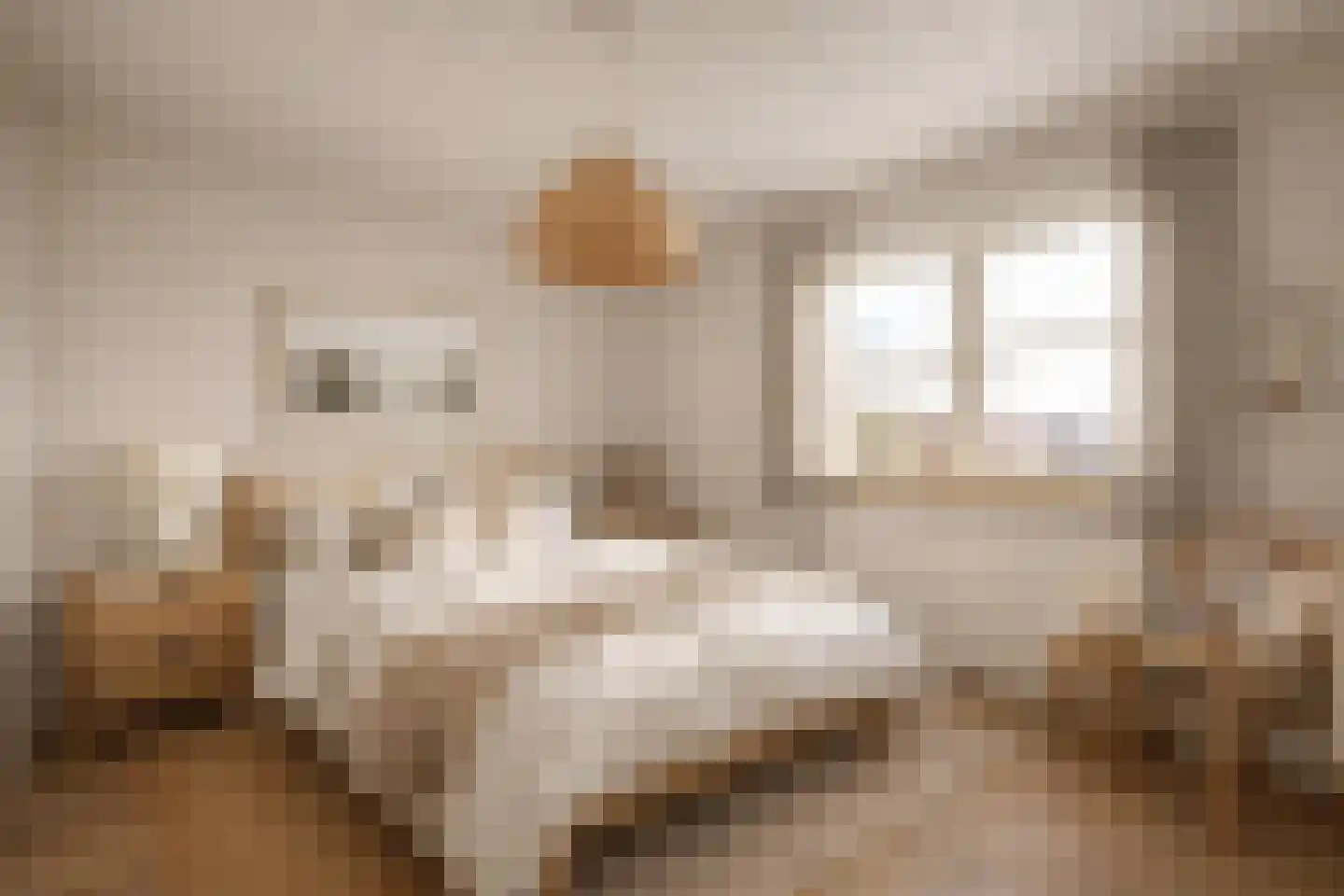 Ds L Touwenlaan 32 Makkum thumbnail 39