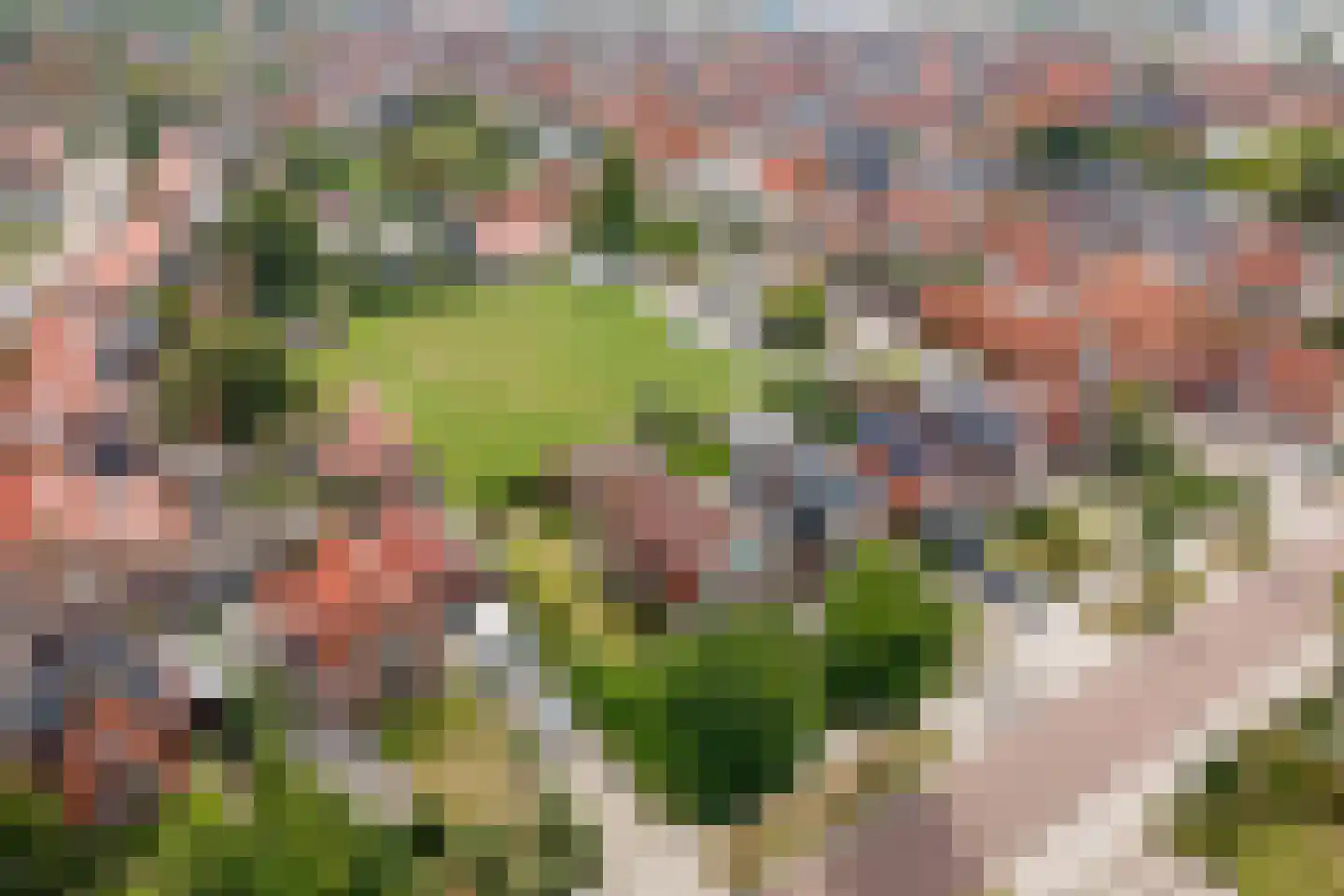 Ds L Touwenlaan 32 Makkum thumbnail 43