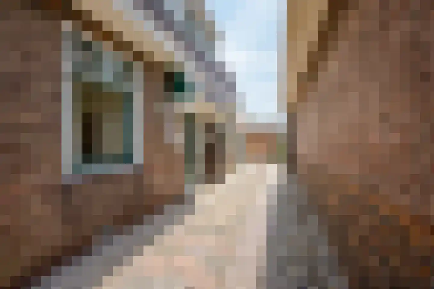 Ds L Touwenlaan 32 Makkum thumbnail 6