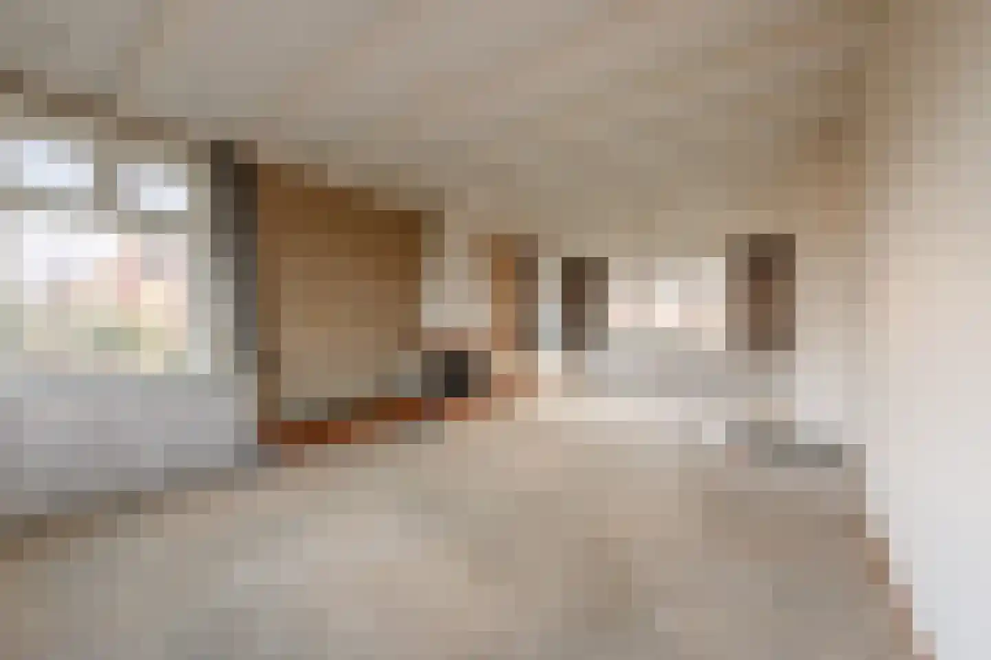 Ds L Touwenlaan 32 Makkum thumbnail 8