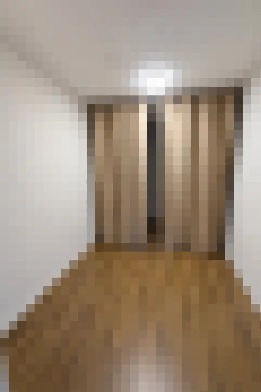 Ds L Touwenlaan Makkum thumbnail 4