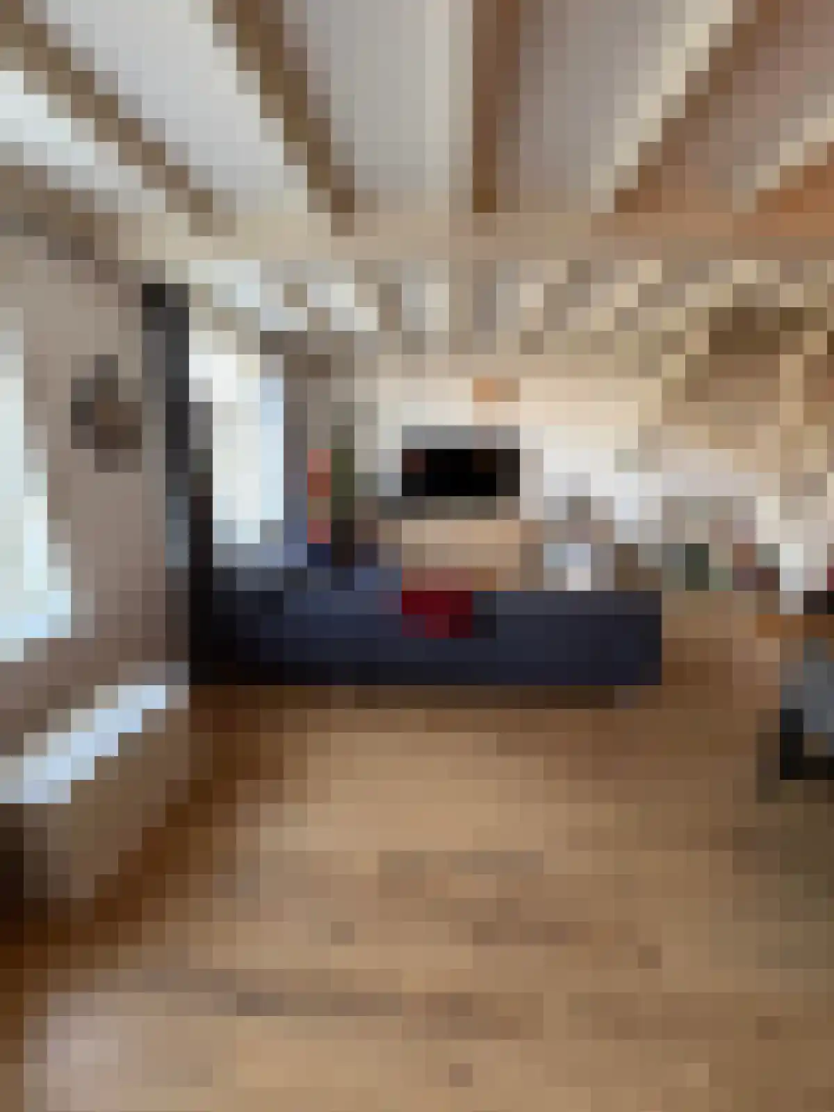 Ds L Touwenlaan Makkum thumbnail 5
