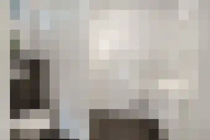 ds.Laurentiusstraat 1 Beerzerveld thumbnail 22