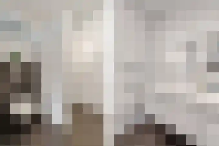 ds.Laurentiusstraat 1 Beerzerveld thumbnail 23