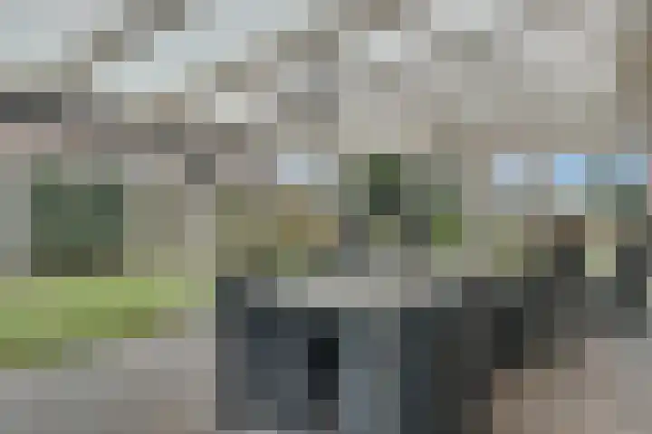ds.Laurentiusstraat 1 Beerzerveld thumbnail 38