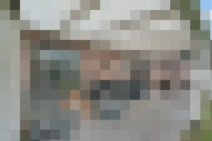 ds.Laurentiusstraat 1 Beerzerveld thumbnail 39