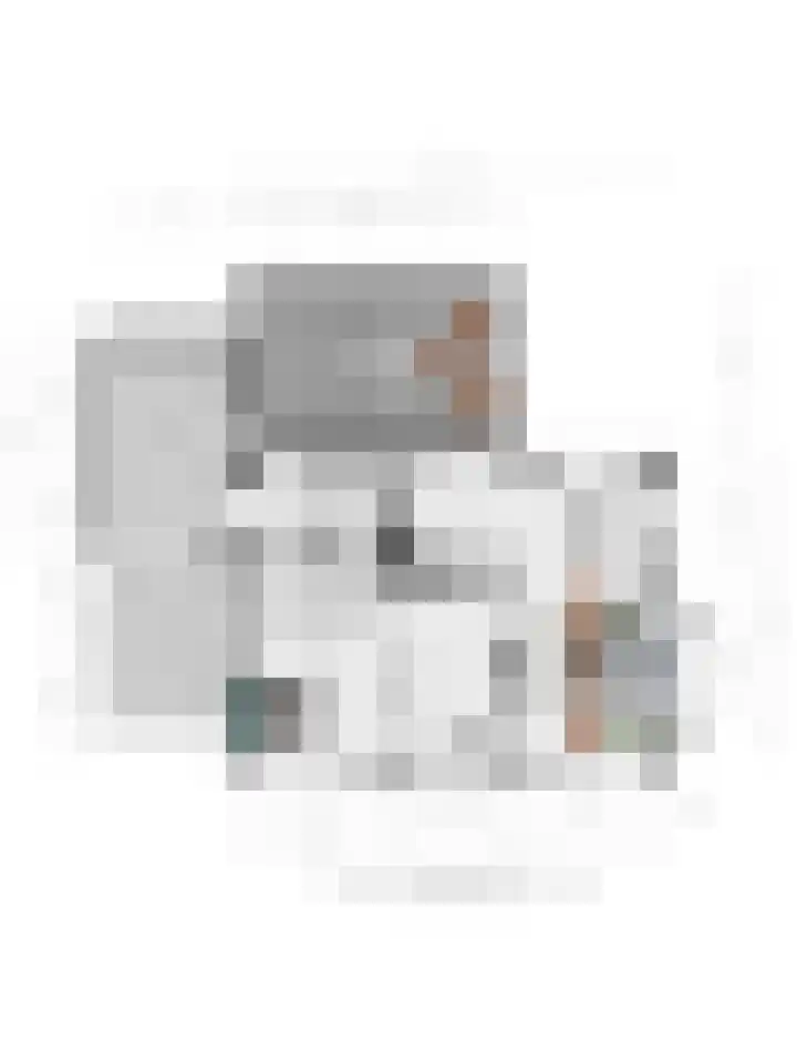 ds.Laurentiusstraat 1 Beerzerveld thumbnail 44