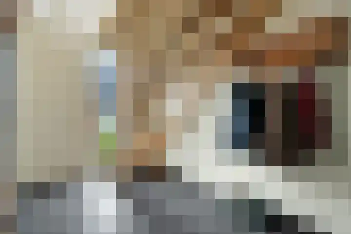 ds.Laurentiusstraat 1 Beerzerveld thumbnail 7