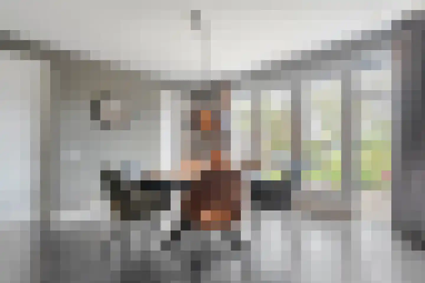 ds.Laurentiusstraat 17 a Beerzerveld thumbnail 23