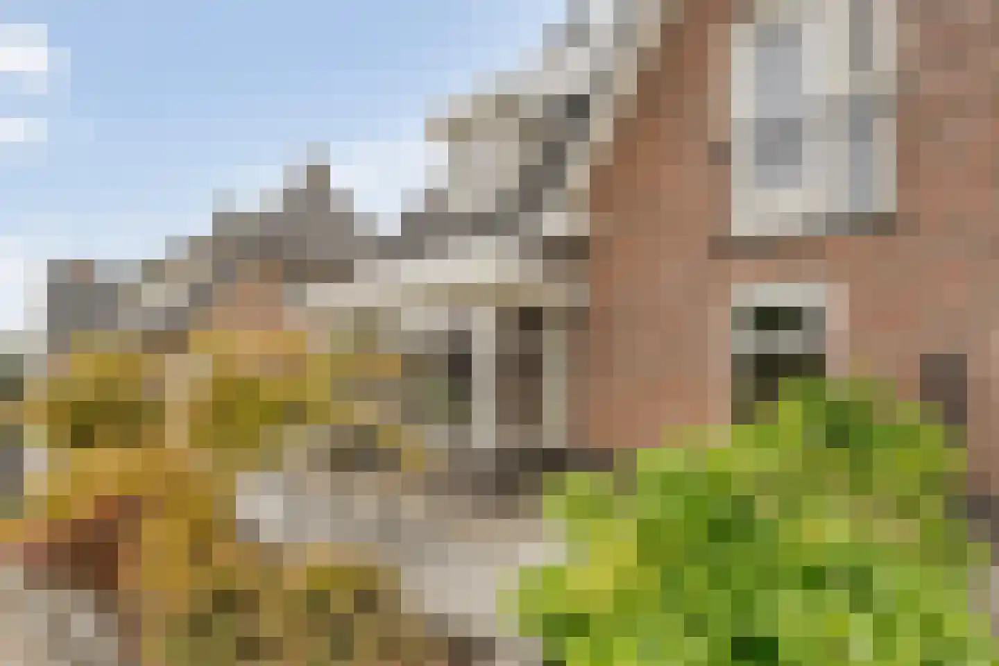 ds.Laurentiusstraat 17 a Beerzerveld thumbnail 4