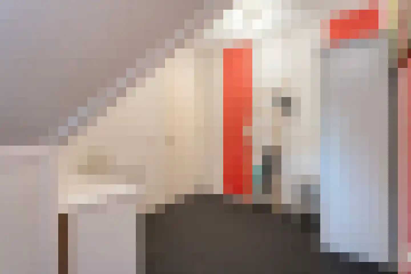ds.Laurentiusstraat 17 a Beerzerveld thumbnail 50