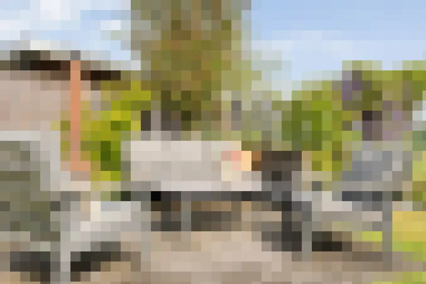 ds.Laurentiusstraat 17 a Beerzerveld thumbnail 52