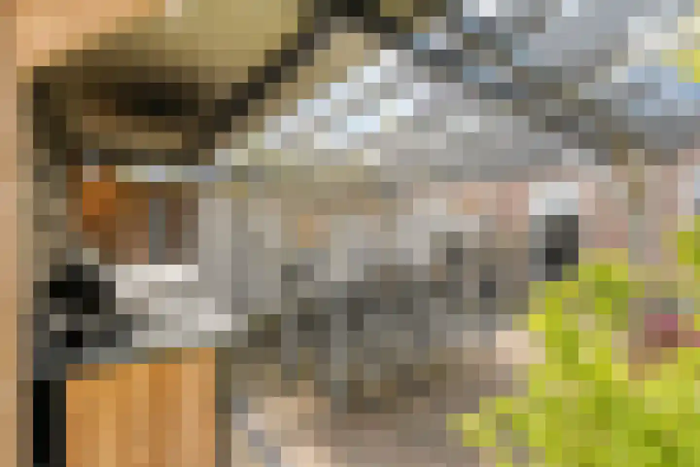 ds.Laurentiusstraat 17 a Beerzerveld thumbnail 54