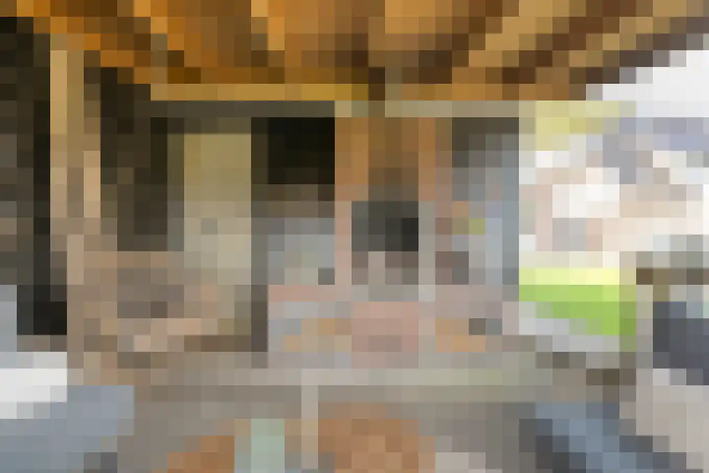 ds.Laurentiusstraat 17 a Beerzerveld thumbnail 59