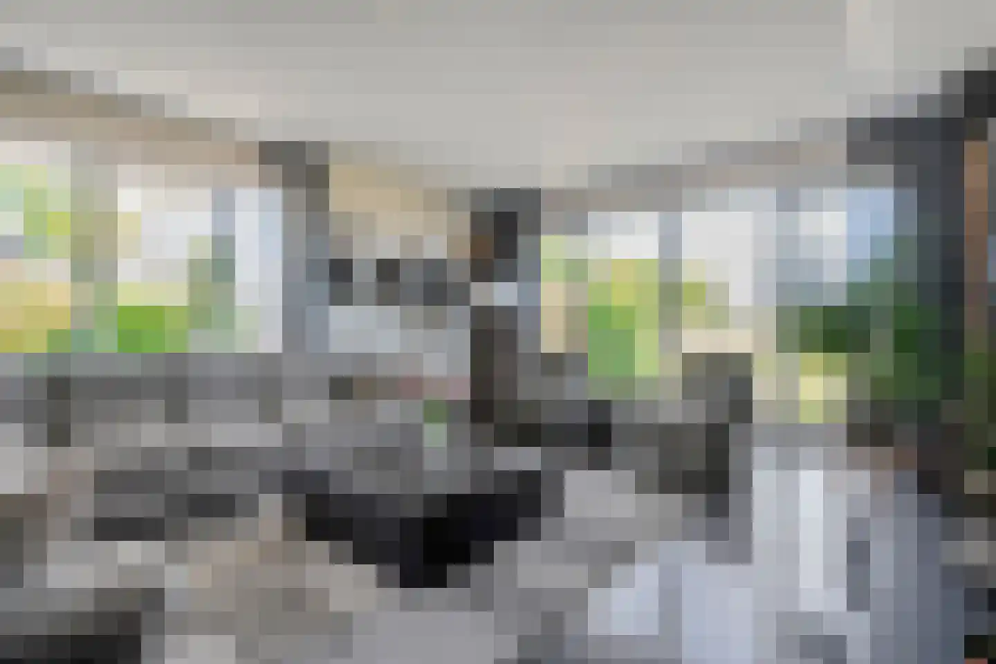 ds.Laurentiusstraat 20 Beerzerveld thumbnail 15