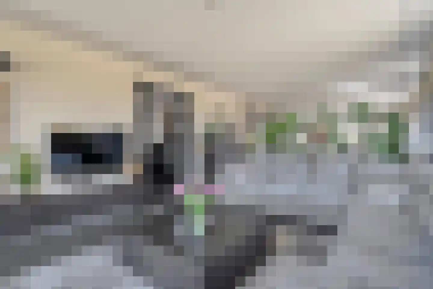 ds.Laurentiusstraat 20 Beerzerveld thumbnail 16