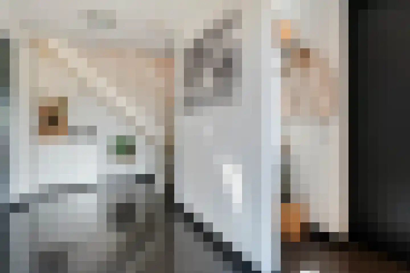 ds.Laurentiusstraat 20 Beerzerveld thumbnail 27