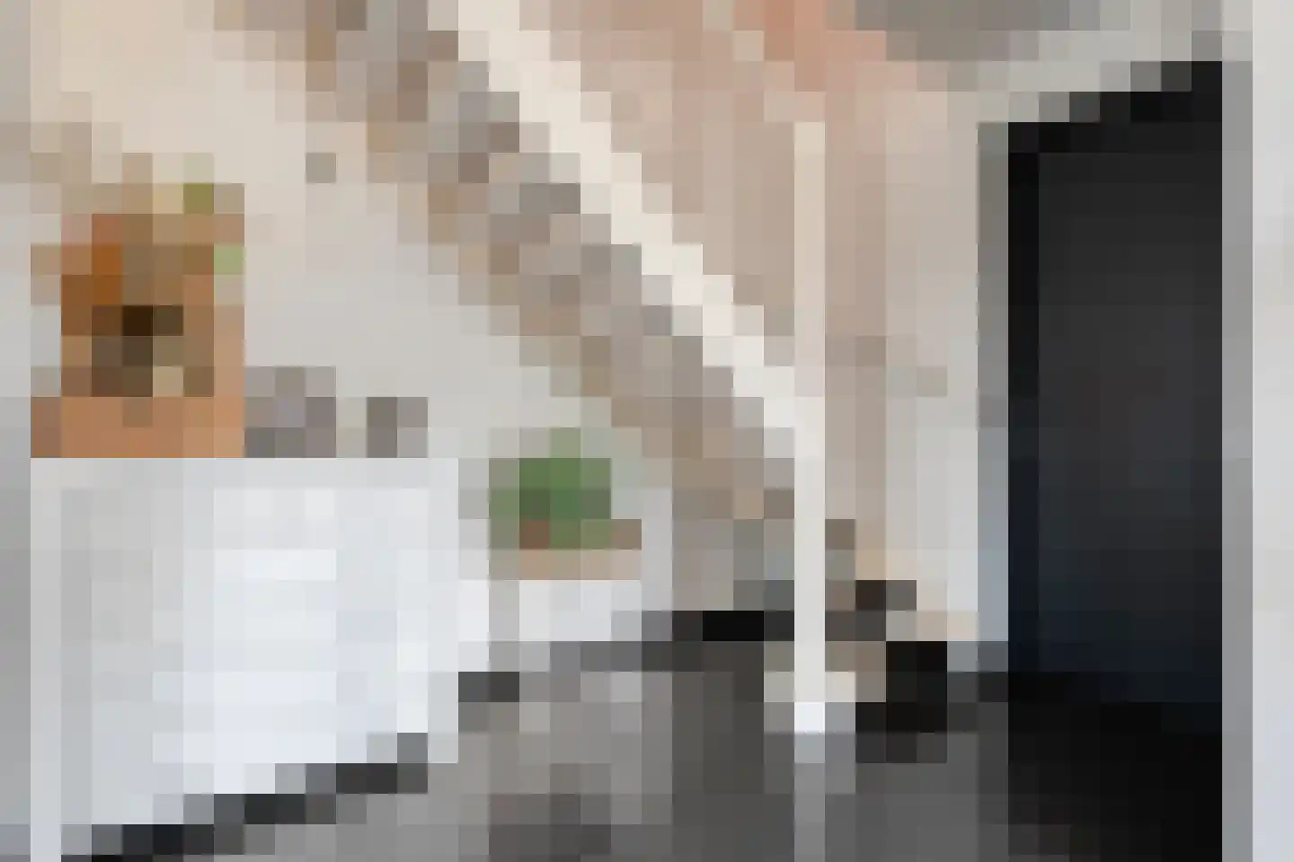 ds.Laurentiusstraat 20 Beerzerveld thumbnail 28