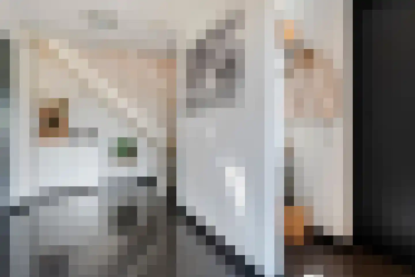 ds.Laurentiusstraat 20 Beerzerveld thumbnail 31