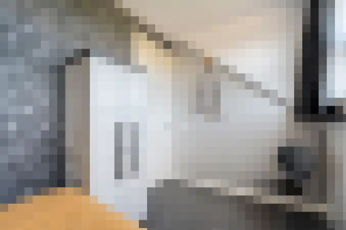 ds.Laurentiusstraat 20 Beerzerveld thumbnail 35