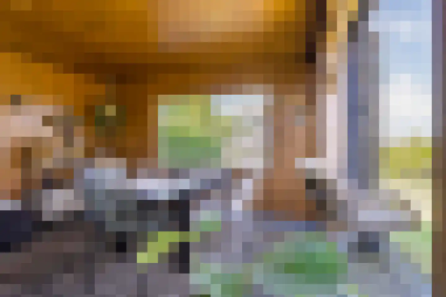 ds.Laurentiusstraat 20 Beerzerveld thumbnail 50