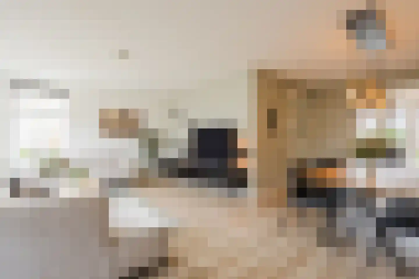 ds.Laurentiusstraat 4 Beerzerveld thumbnail 10