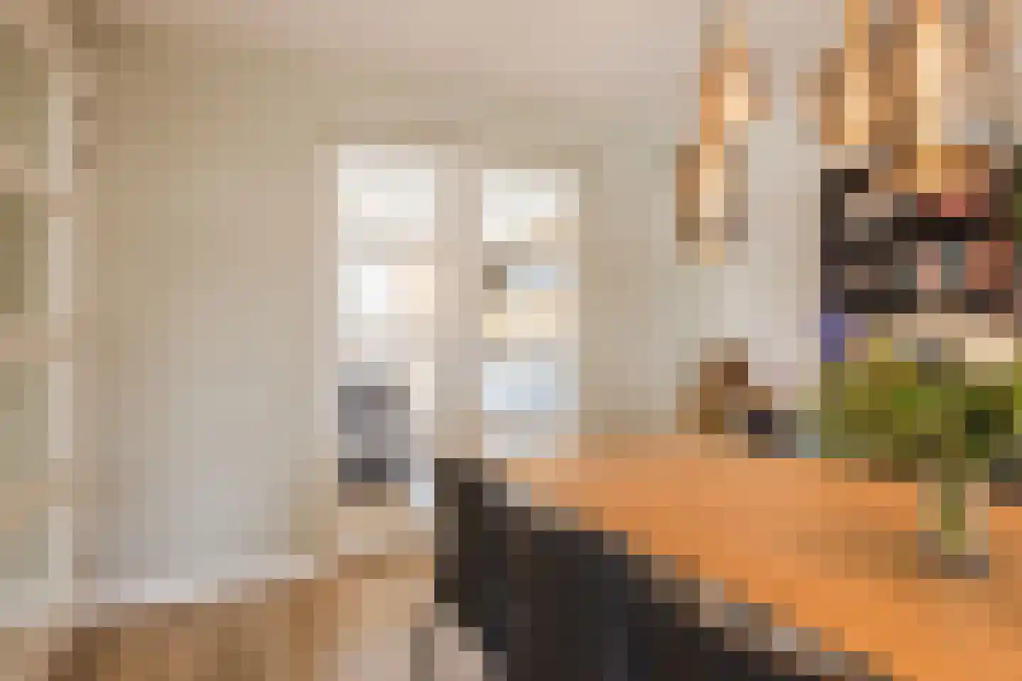ds.Laurentiusstraat 4 Beerzerveld thumbnail 14