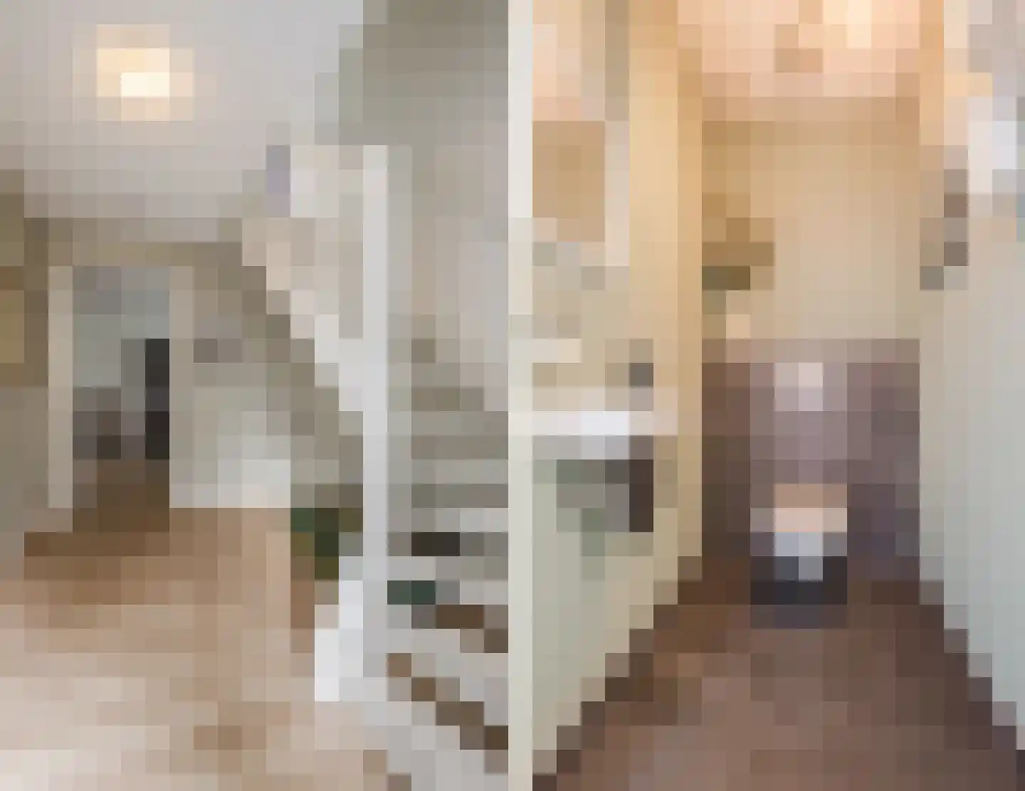 ds.Laurentiusstraat 4 Beerzerveld thumbnail 29