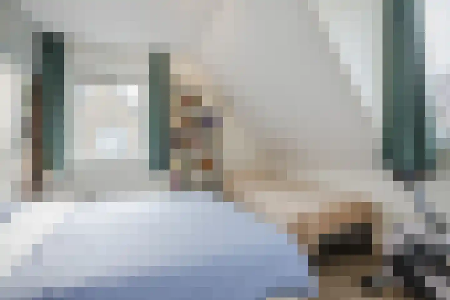 ds.Laurentiusstraat 4 Beerzerveld thumbnail 31