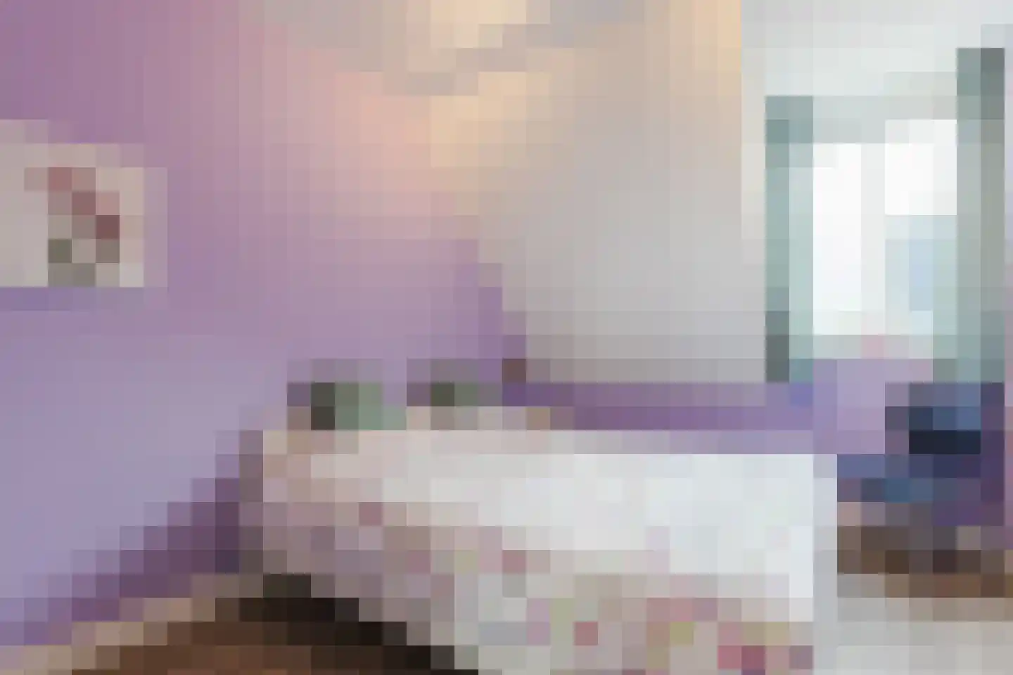 ds.Laurentiusstraat 4 Beerzerveld thumbnail 33