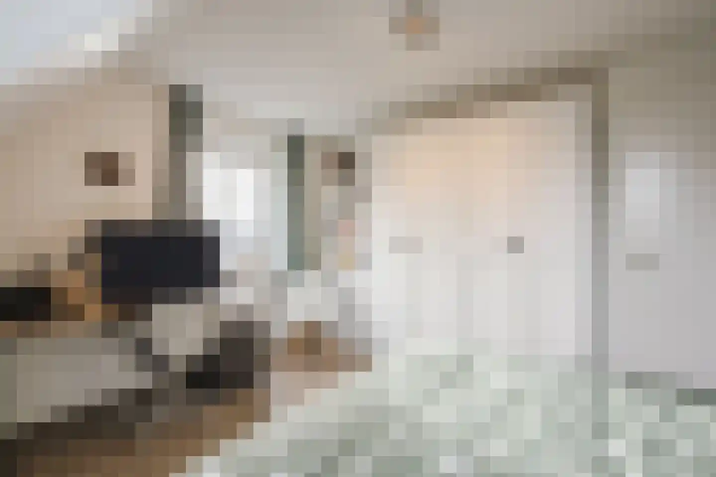 ds.Laurentiusstraat 4 Beerzerveld thumbnail 38