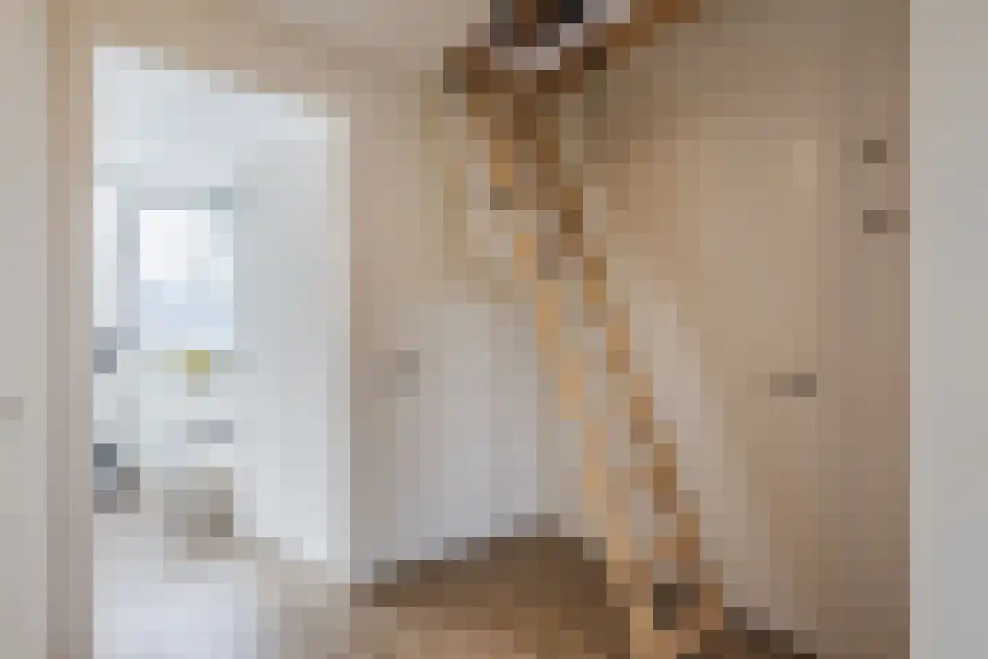 ds.Laurentiusstraat 4 Beerzerveld thumbnail 43