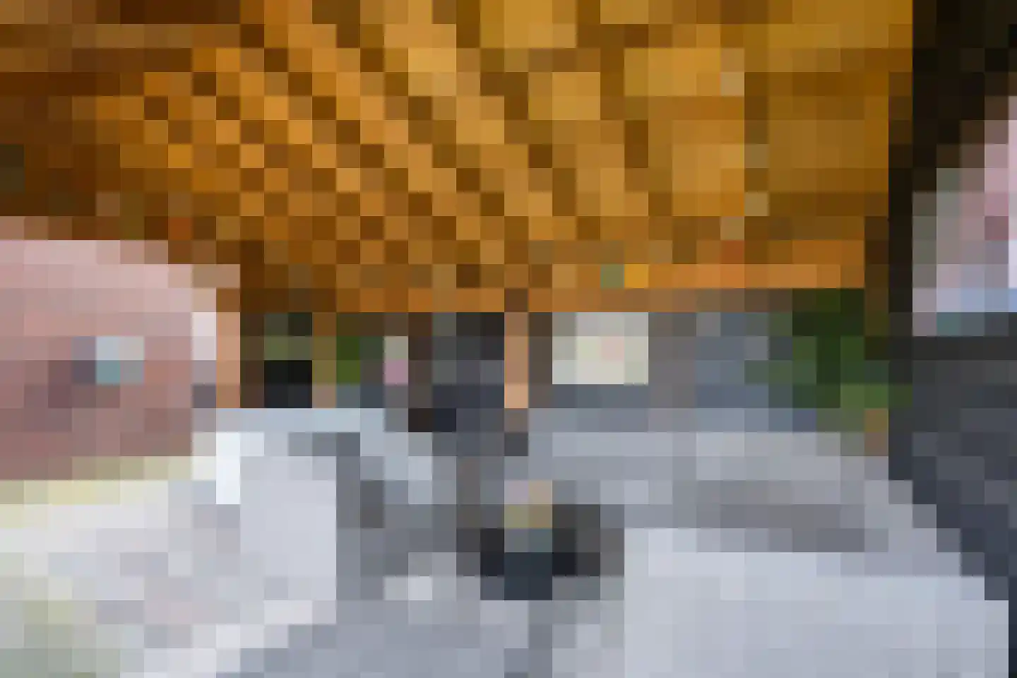 ds.Laurentiusstraat 4 Beerzerveld thumbnail 59