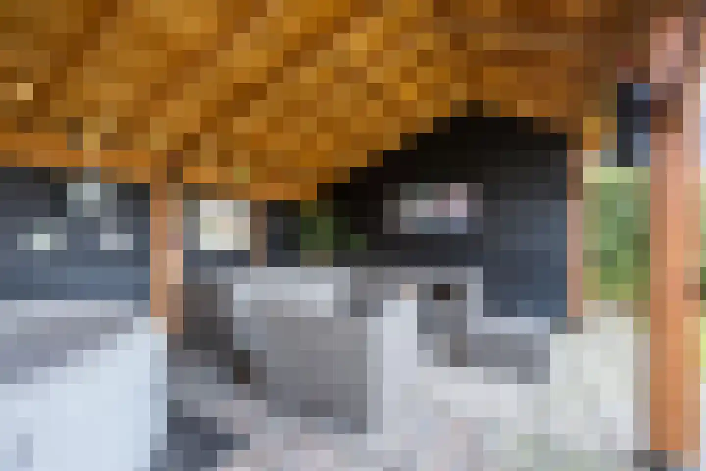 ds.Laurentiusstraat 4 Beerzerveld thumbnail 60