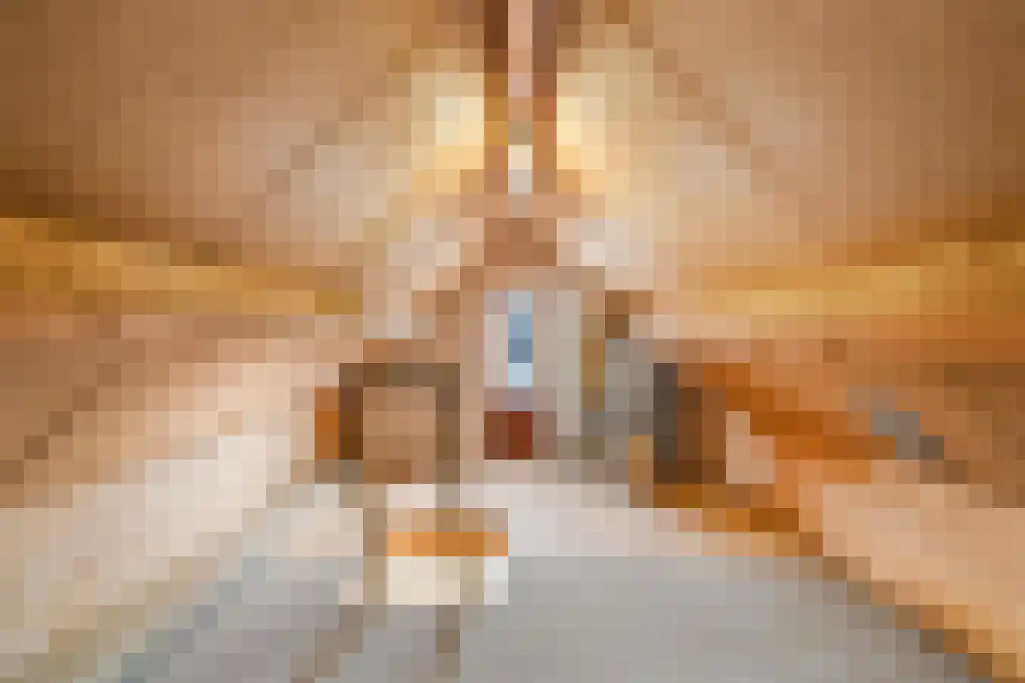 Ds. Liesseliuslaan 6 Lunteren thumbnail 30