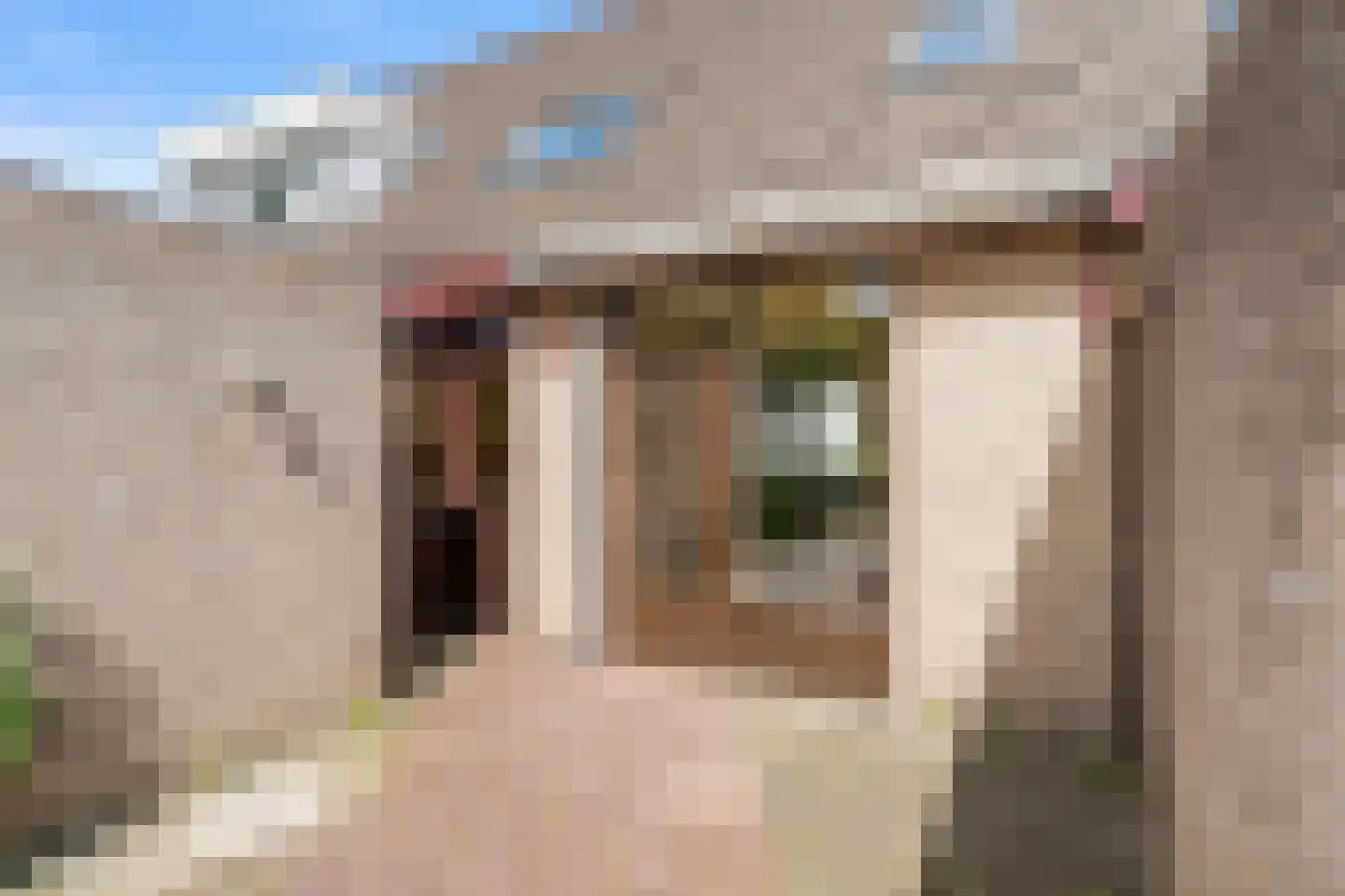 Ds. Liesseliuslaan 6 Lunteren thumbnail 39
